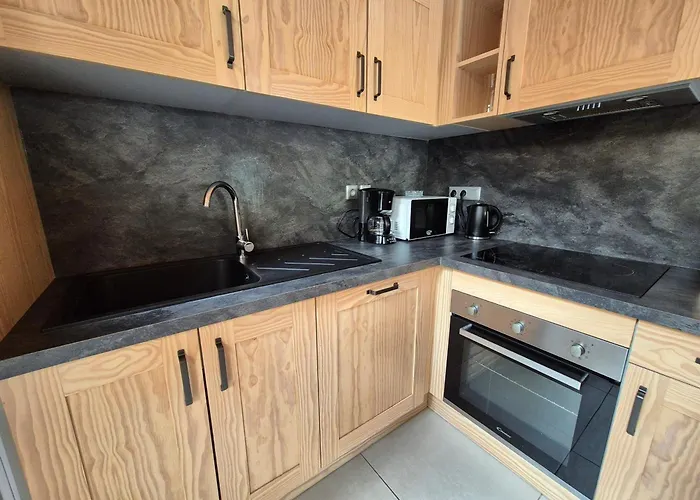 Duplex Lumineux 8 Pers, 250m Des Pistes, Animaux Admis - Fr-1-811-29 Les Deux Alpes