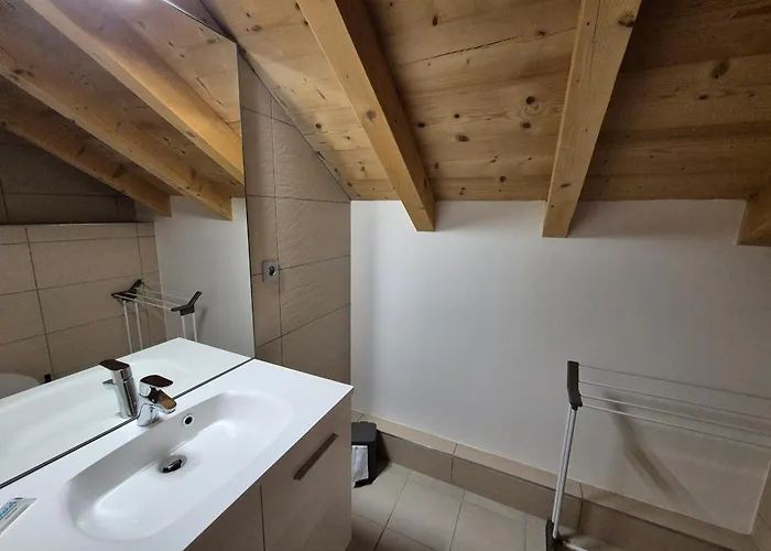 Duplex Lumineux 8 Pers, 250m Des Pistes, Animaux Admis - Fr-1-811-29 * Les Deux Alpes