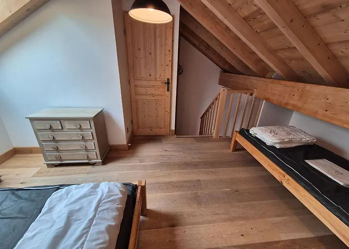 Duplex Lumineux 8 Pers, 250m Des Pistes, Animaux Admis - Fr-1-811-29 * Les Deux Alpes